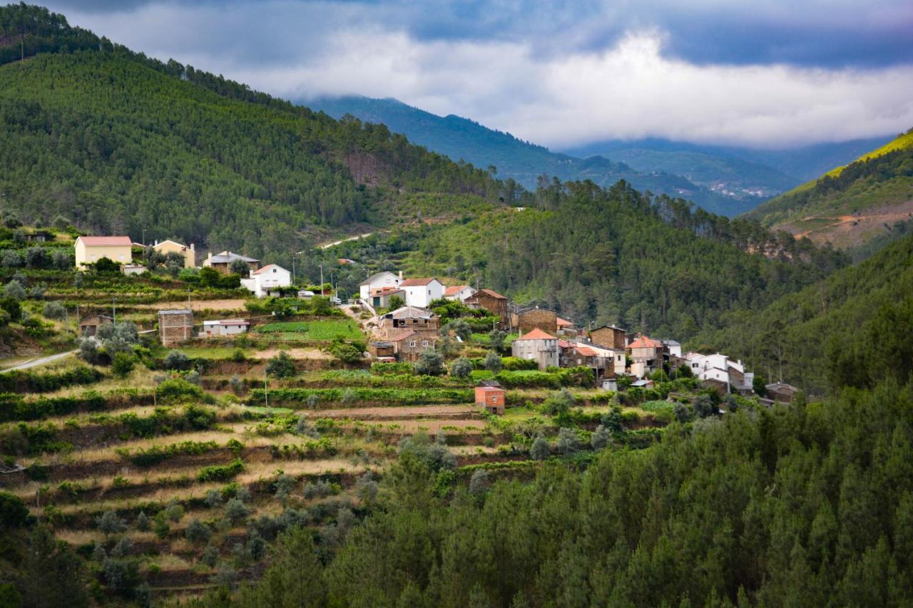 Casa Do Azereiro Villa Casal do Rei  Luaran gambar