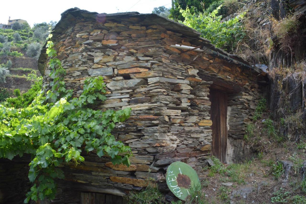 Casa Do Azereiro Villa Casal do Rei  Luaran gambar