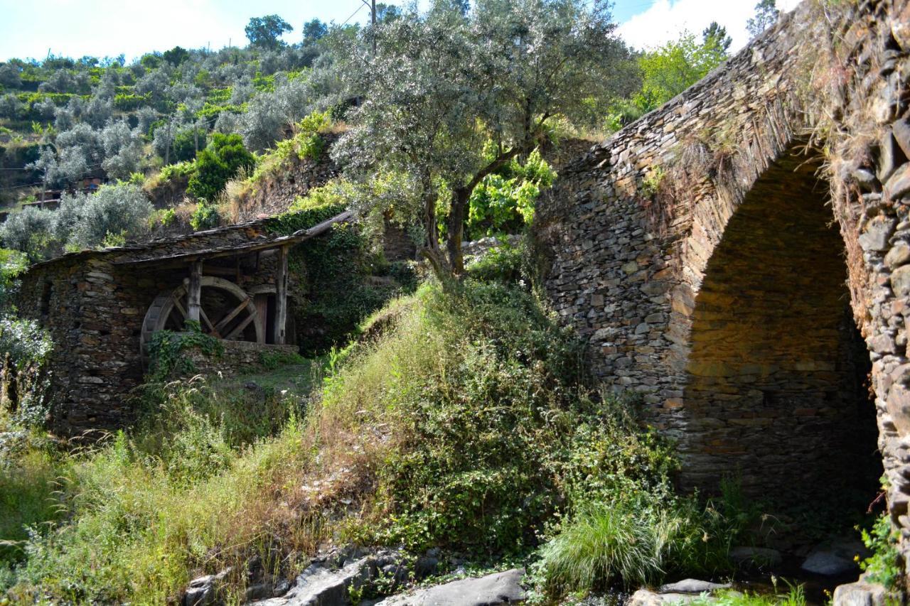 Casa Do Azereiro Villa Casal do Rei  Luaran gambar